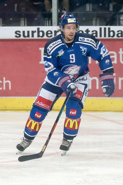 示过出色的 示过出色的